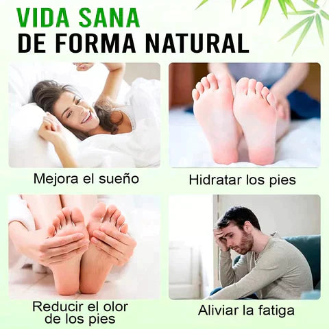 Parches Desintoxicantes – 10 UNIDADES – Limpia tu cuerpo mientras duermes